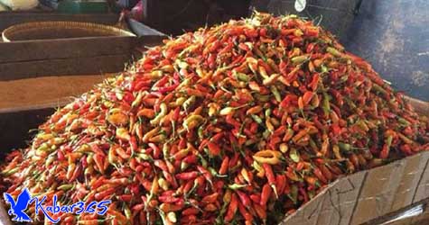 Tembus Rp 60.000/Kg, Harga Cabai Rawit Merah Semakin 'Pedas' Tembus Rp 60.000/Kg, Harga Cabai Rawit Merah Semakin 'Pedas'