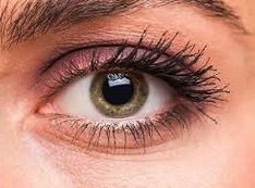 Vista - Ojo Foto de un ojo humano, sentido de la vista