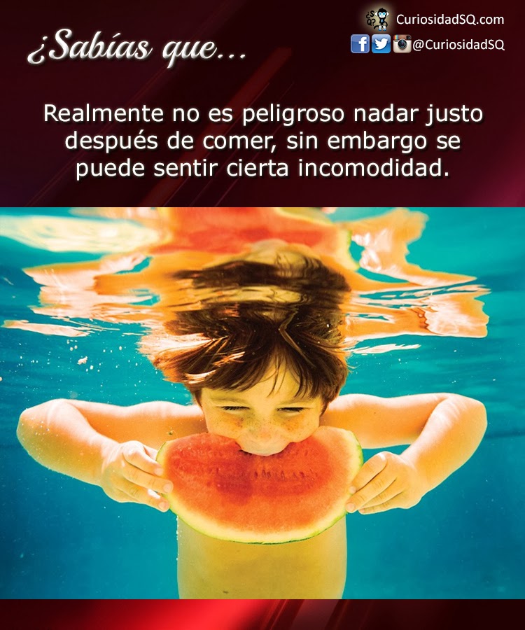 Arriba 105+ Foto Cuanto Tiempo Esperar Despues De Comer Para Hacer Ejercicio Mirada Tensa 10/2023