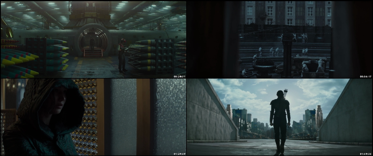 The Hunger Games: Mockingjay - Part 2 2015