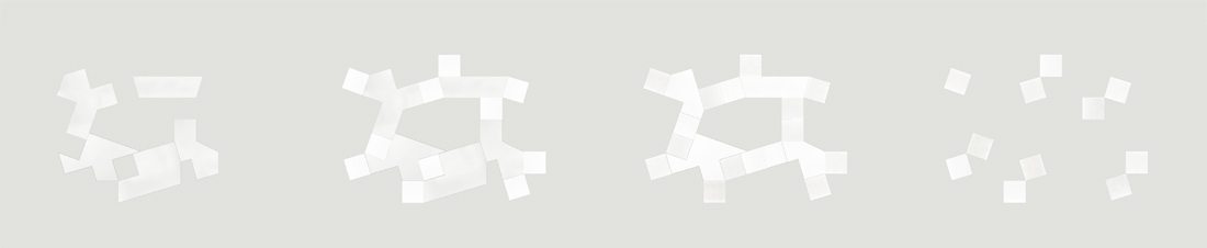 Inaqui Carnicero A F A S I A