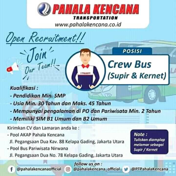 Lowongan Kerja Crew Bus Pahala Kencana Jakarta Pencari Kerja