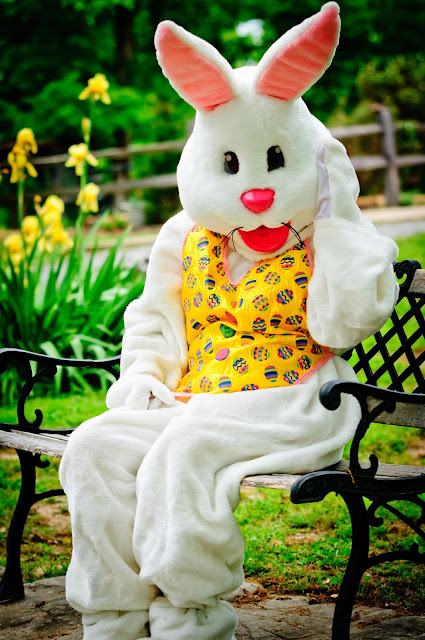 ♂ Easter Pictures Images Wallpapers Photos Graphics 2017 For Facebook & Whatsapp ♂ Easter Pictures Images Wallpapers Photos Graphics 2017 For Facebook & Whatsapp