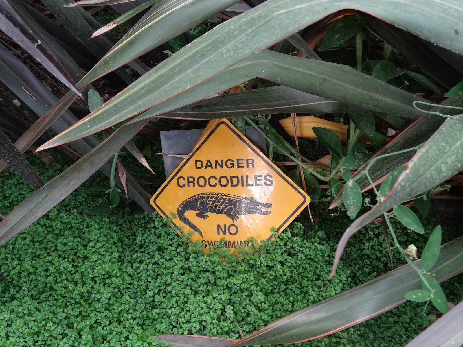 Le blog de parcs et jardins de l'oise: la serre de plantes ...