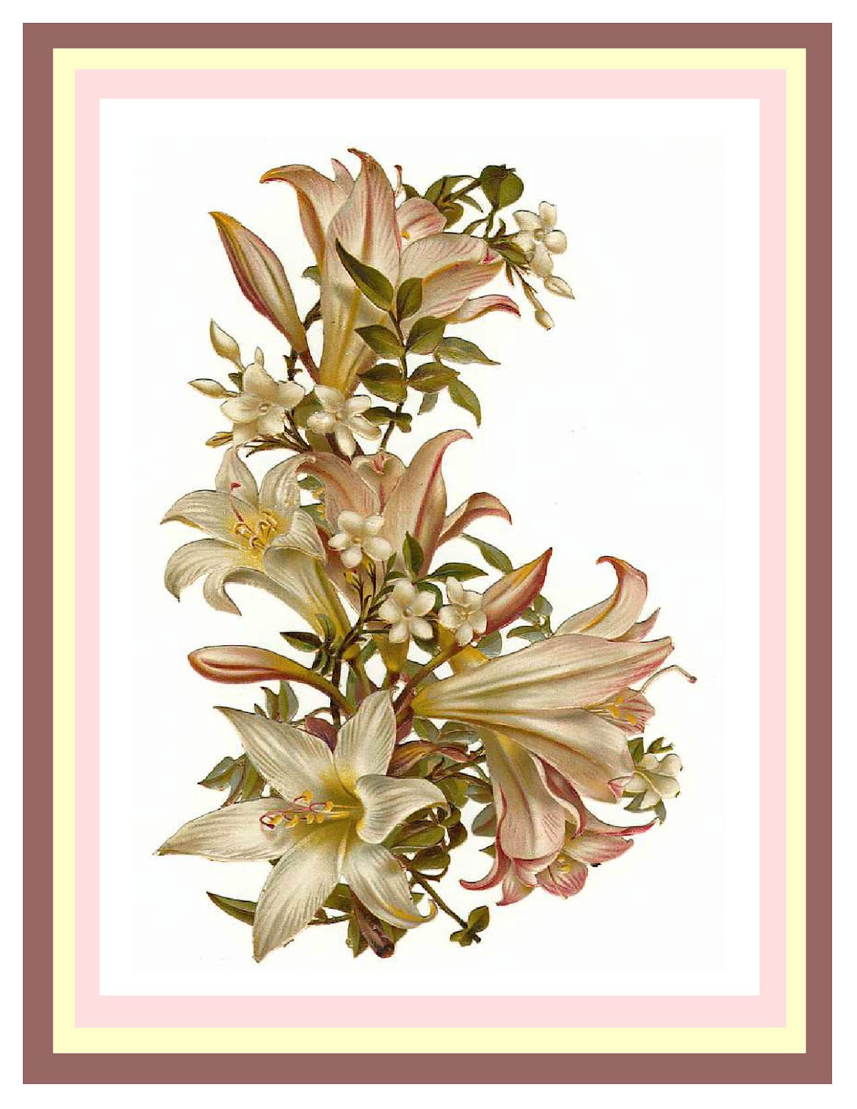 flowers for flower lovers. Flowers cards designs.