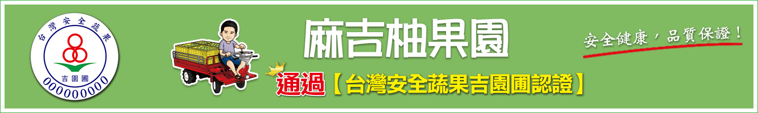 台南網頁設計