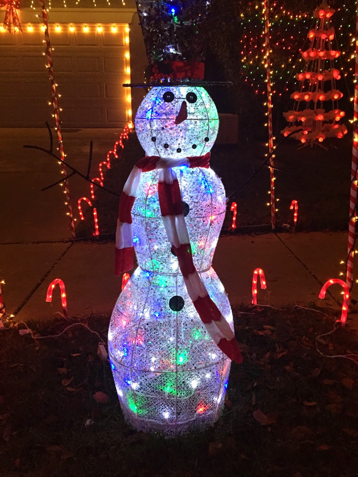 Love Where You Live Christmas Lights of Twinwood Loop Roseville