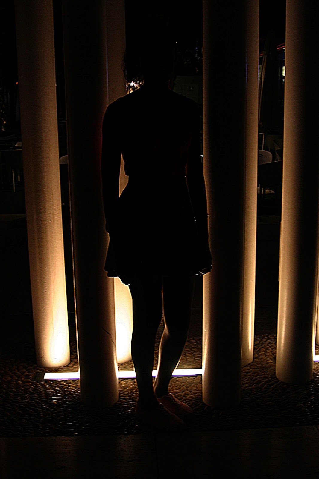 Flowers in my hair & demons in my head