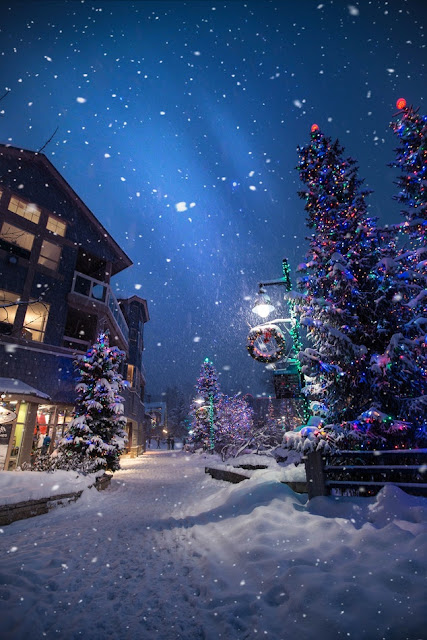 christmas tree images christmas tree images