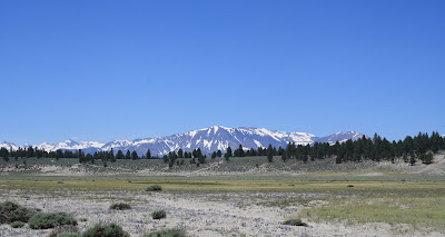 Living and Dyeing Under the Big Sky: High Sierra Mountains