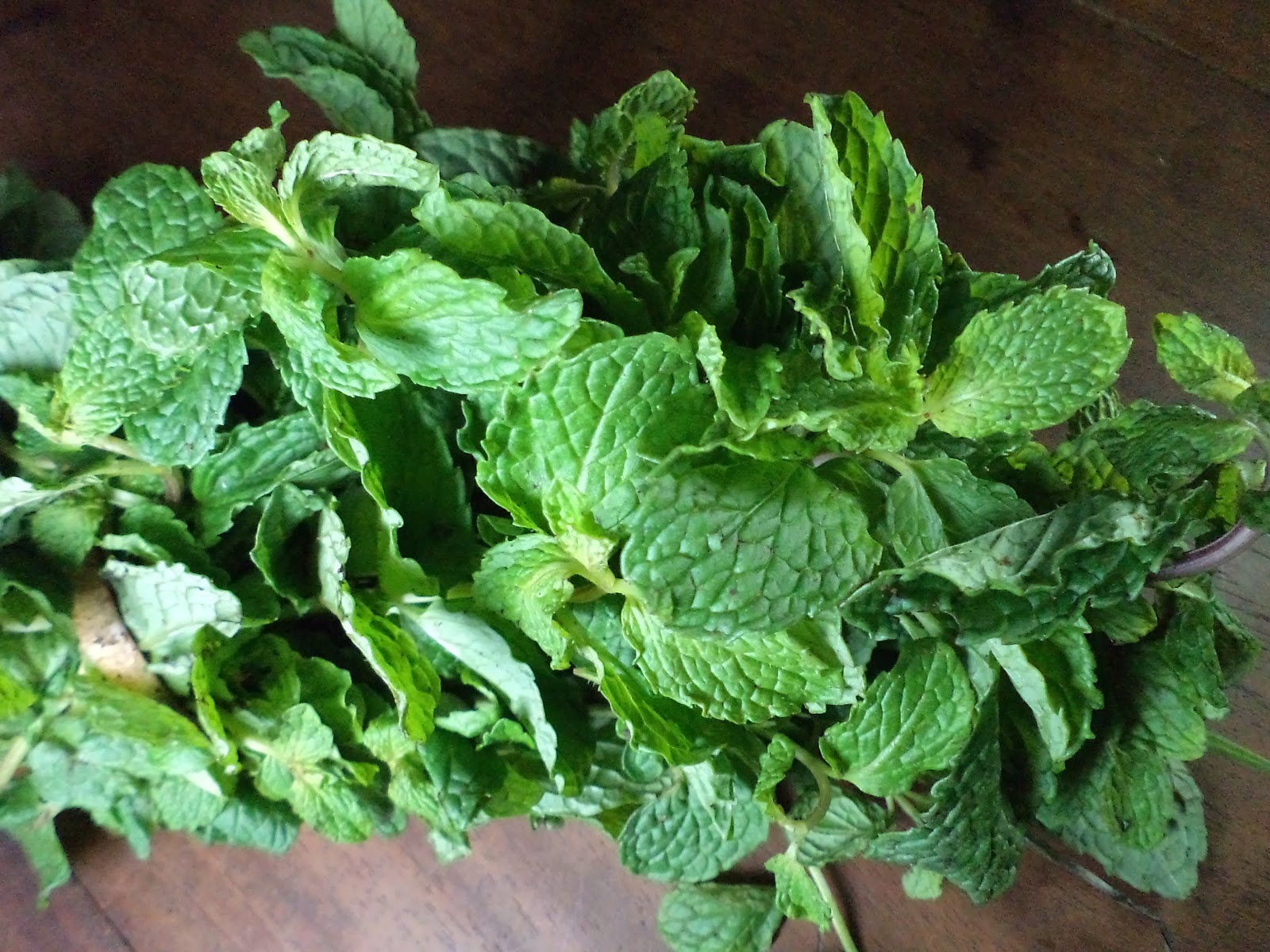 Mouthwatering Food Recipes: 49) PUDINA CHUTNEY