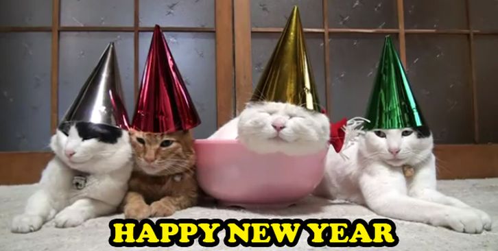 Happy New Year! (Surely it can't be as bad as last year)