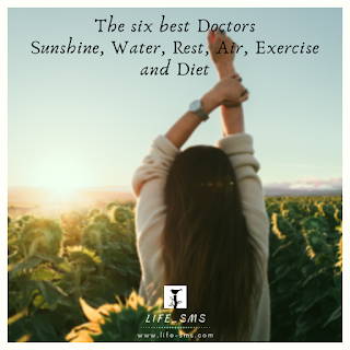 The six best Doctors