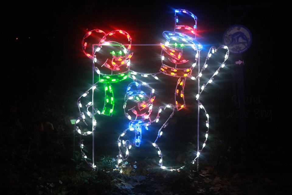 Zoo Lights at Jacksonville Zoo 2016