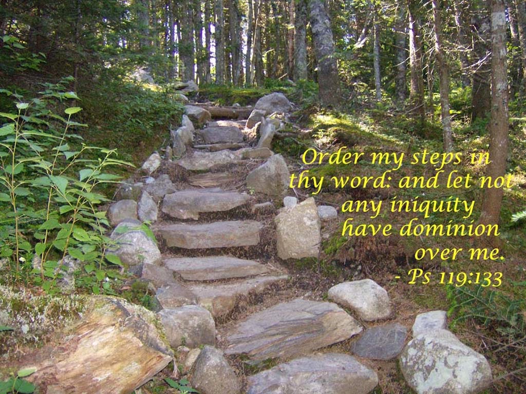 Scripture For Today Psalm 119 49 56 Remember Your Word To Your Scripture For Today Psalm 119 49 56 Remember Your Word To Your