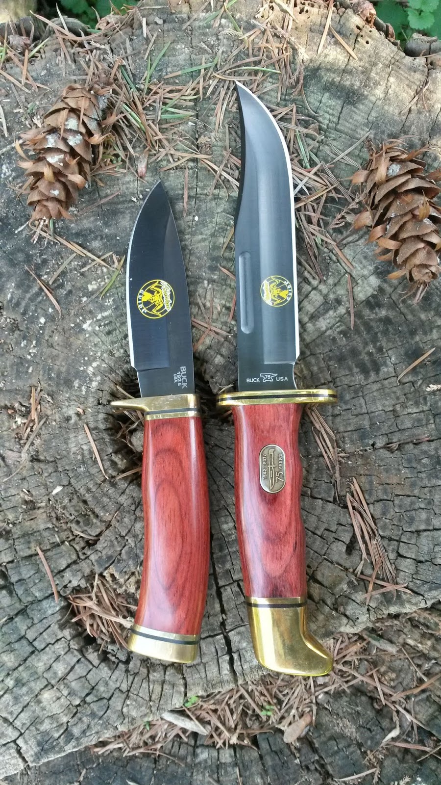 Buck%2BAG%2B119%2BSpecial%2B-%2B192%2BVanguard%2B%2Bfront.jpg