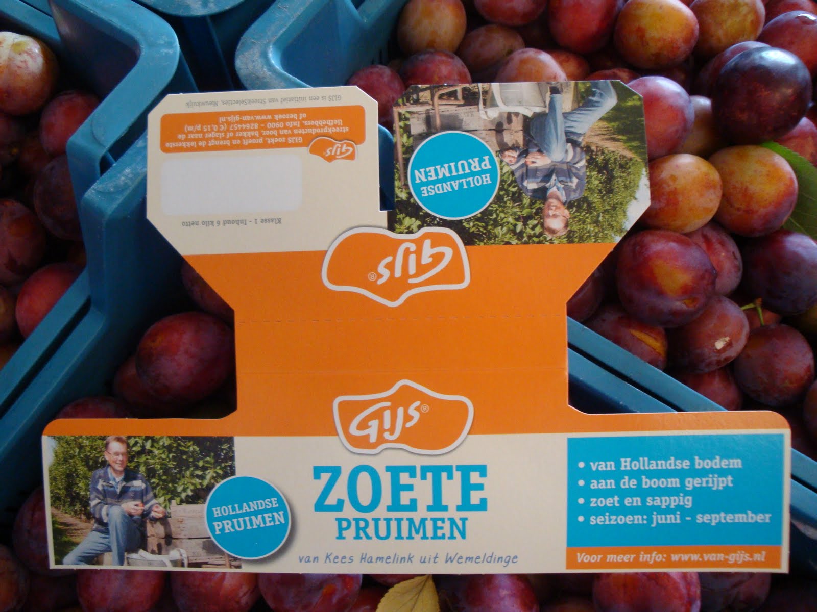 Two Trees Belgium Dutch Plums