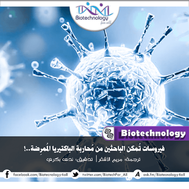 فيروسات تُمِكن الباحثين من محاربة البكتيريا المُمِرِضة