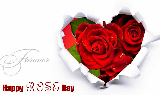 Rose Day Images Rose Day Images