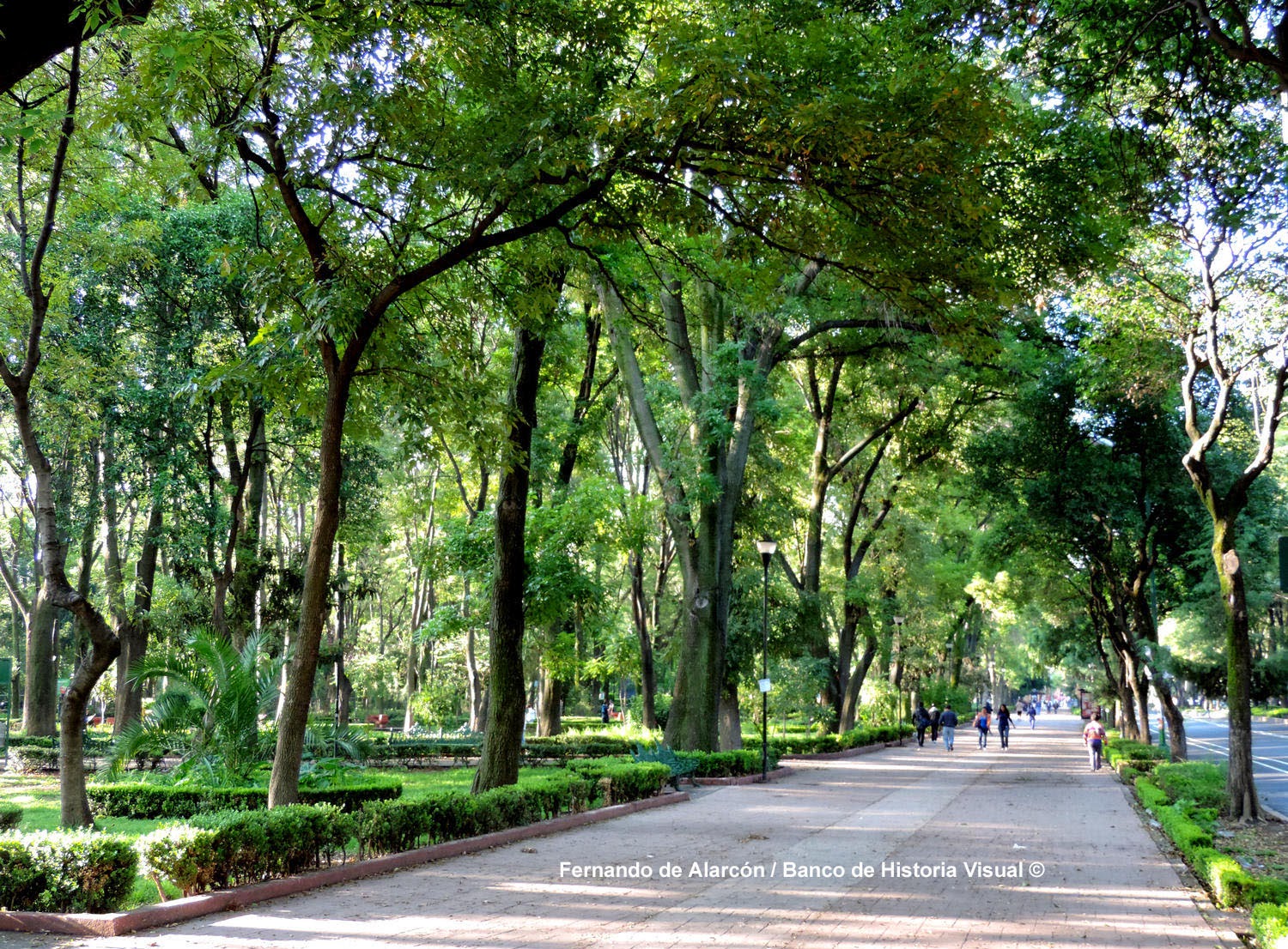 Banco de Historia Visual ©: El parque.