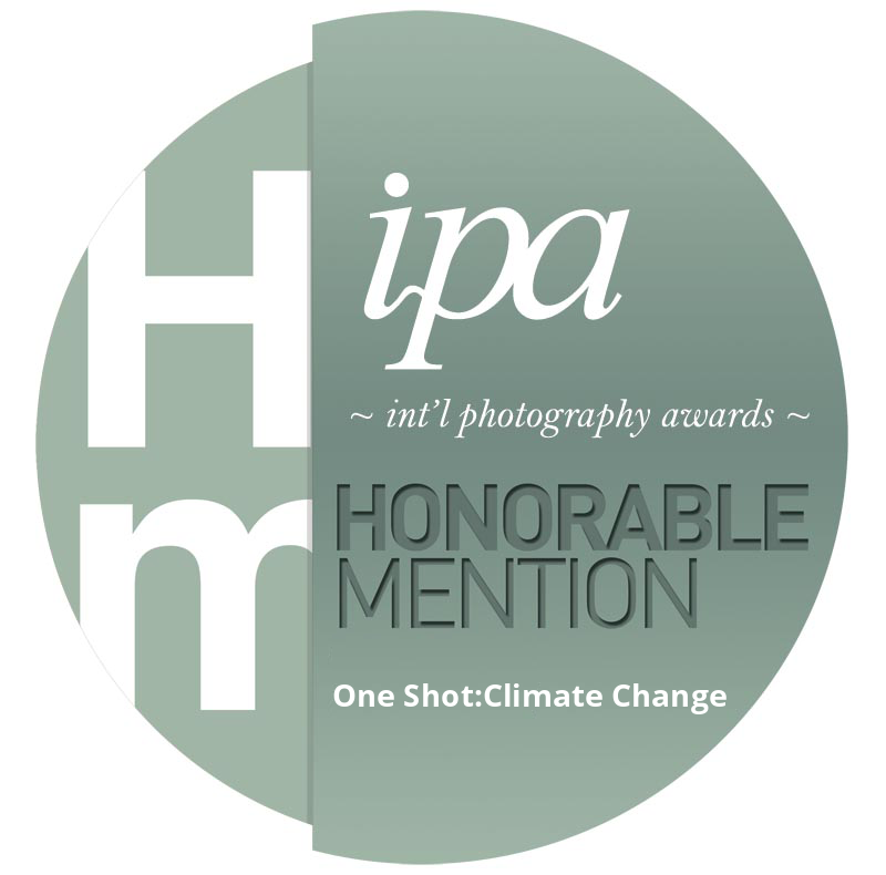 2017 "IPA" international Photography Awards