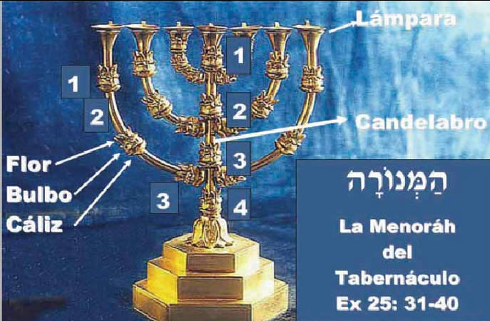 candelabro en la biblia que significa teolog 205 a de menos a mas la menorah del tabern 193 culo de yhwh candelabro en la biblia que significa teolog 205 a de menos a mas la menorah del tabern 193 culo de yhwh