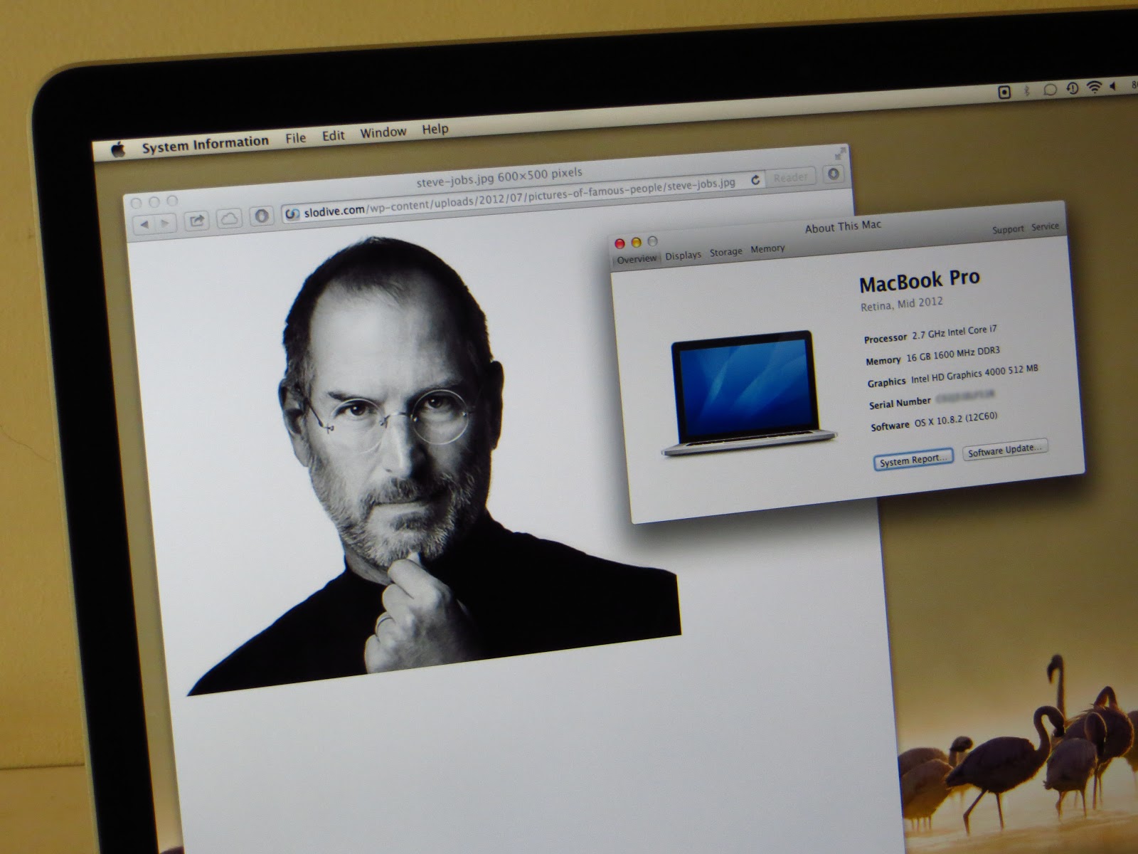 The Ghost of Steve Jobs Ghosting Defect in Macbook Pro's Retina Display