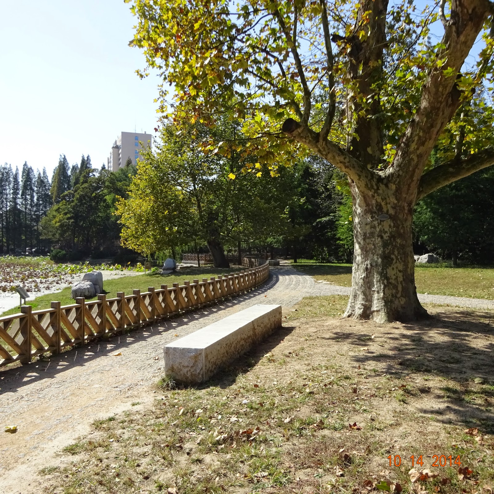 HAN GANADO LOS MALOS El parque de Zhongshan