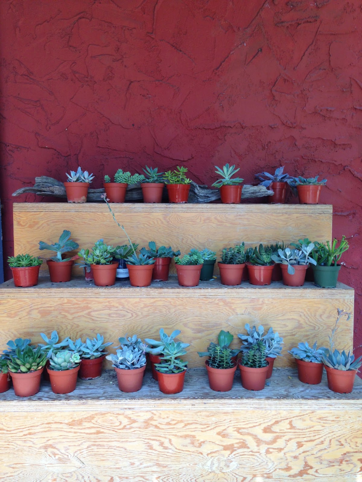 Pilgrim WHAT'S GOOD // SHOPS Los Angeles, CA // Silverlake CLEMENTINE