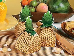 http://www.orientaltrading.com/party-supplies/party-favors/party-bags-and-containers/luau-a1-551313+1297.fltr