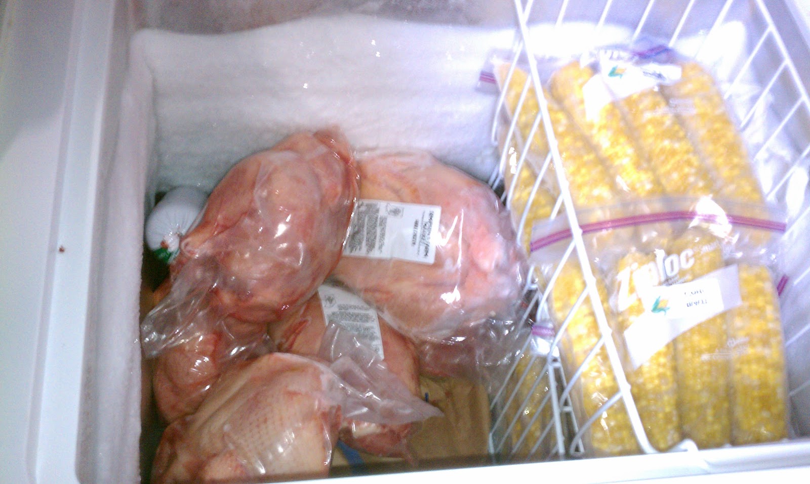 Extraordinary Ordinary Life Freezer Organization for almost every