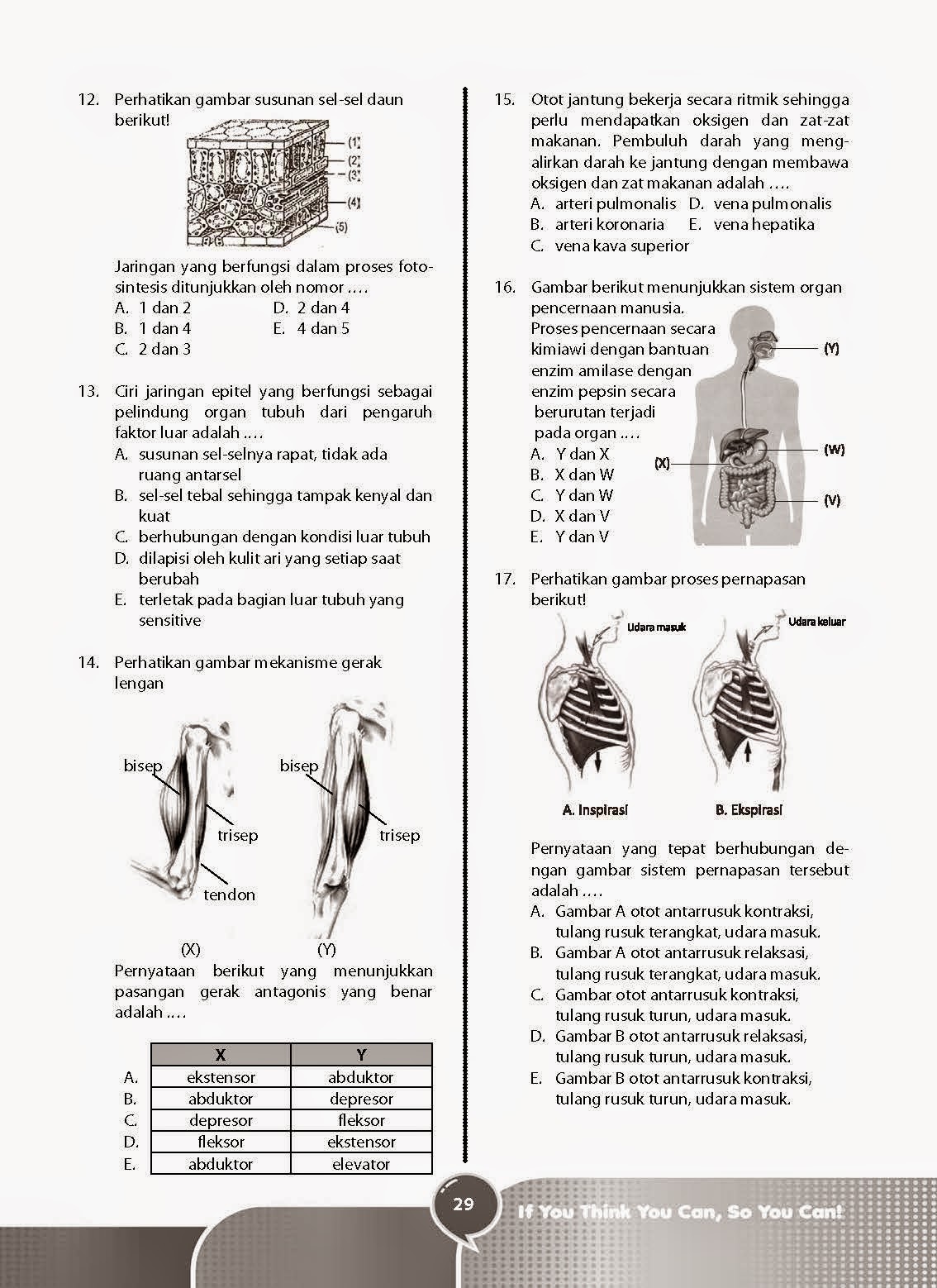Soal Unijan Nasional Biologi 2010 Otot Jantung Bekerja