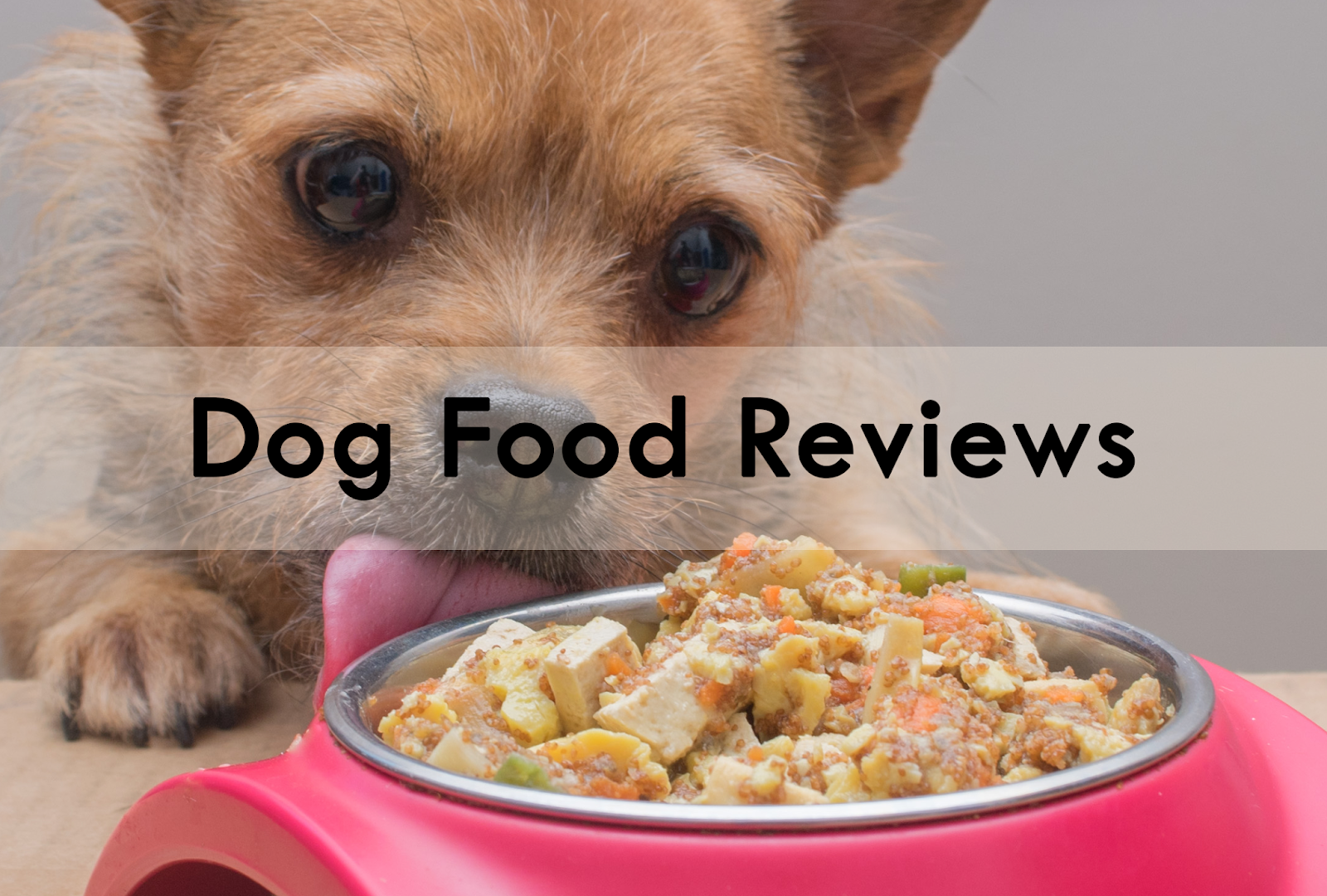 The Chesnut Mutts Dog Food Reviews