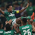 Palmeiras bate Botafogo em dia de homenagens a Zé Roberto