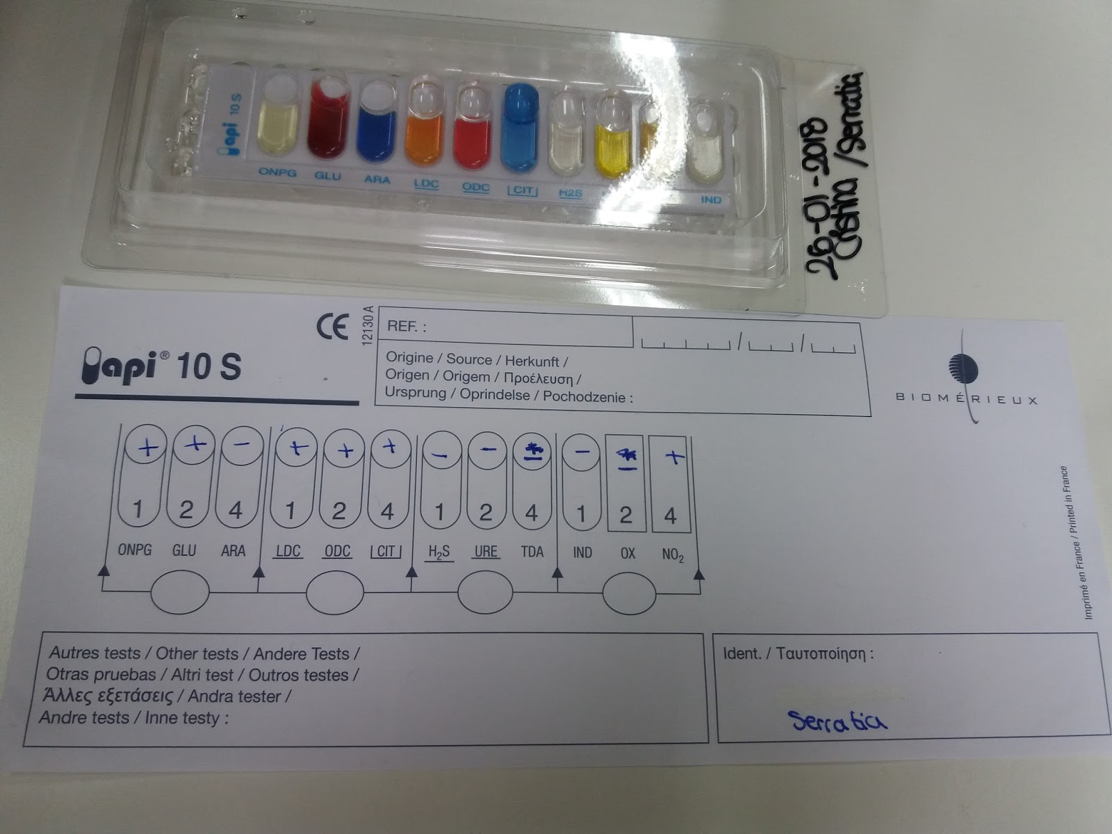 PRÁCTICA API 20 E Y API 10 S (16/01/18)