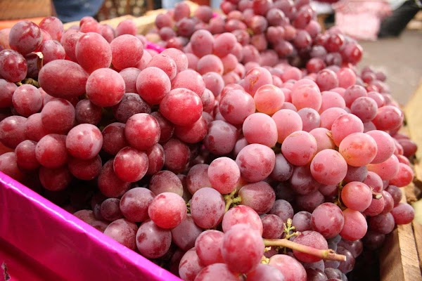 Sonora exportará Toneladas de uva mesa a Australia.