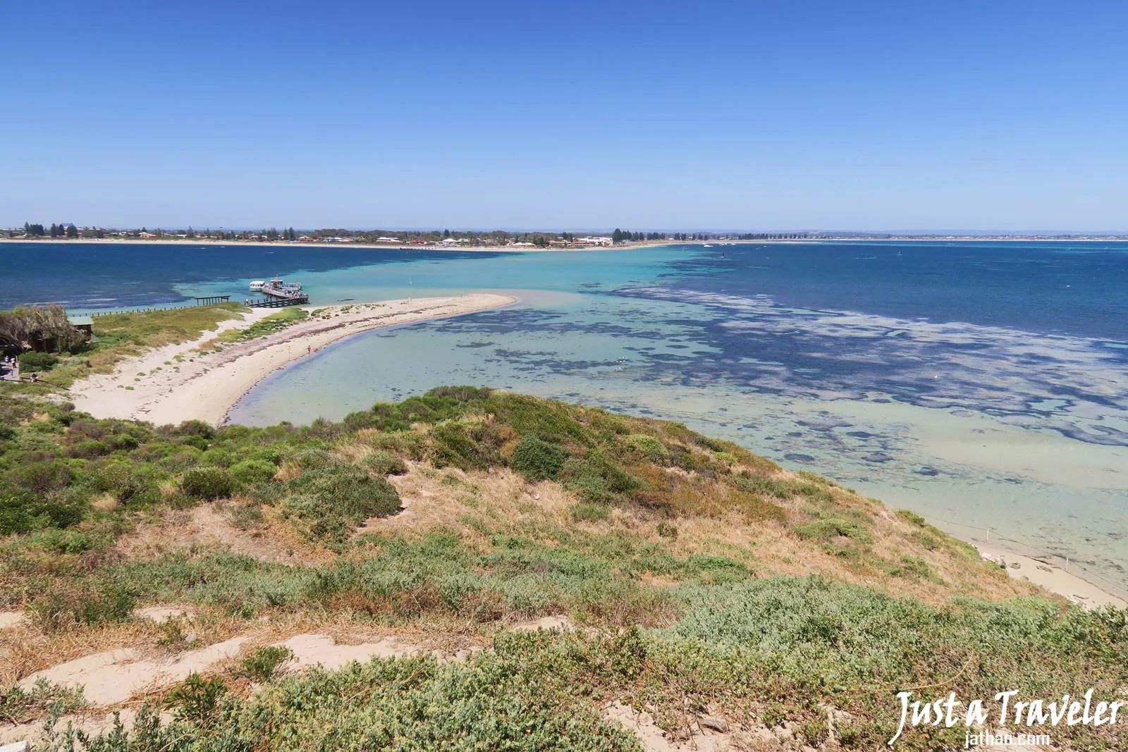 伯斯-景點-推薦-必玩-一日遊-企鵝島-Penguin-Island-遊記-旅遊-自由行-Perth