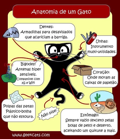 Resultado de imagem para sobre gatos