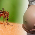 Estão nos enganando: ''Zika vírus nunca foi conhecido por causar deformações cerebrais em crianças'' Dizem cientistas