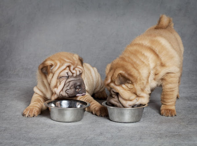 Pics Images Photos Pictures Wallpapers