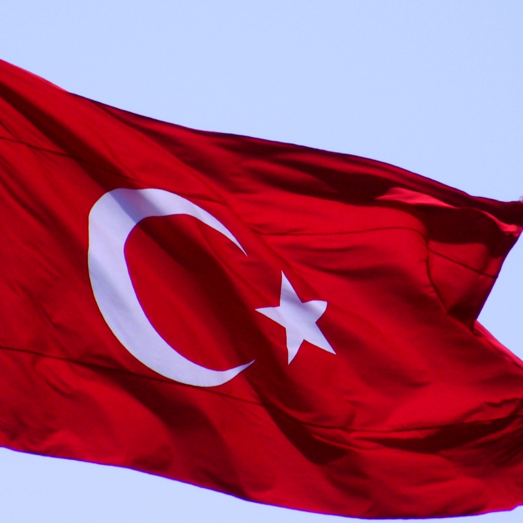 Turk bayraklari rooteto25