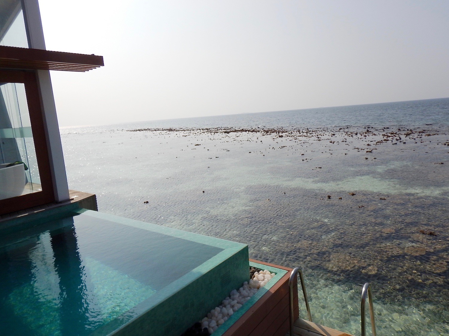 ocean pool villa view kandolhu maldives