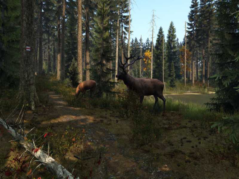 Download DayZ Game Download Free For PC Full Version Download DayZ Game Download Free For PC Full Version