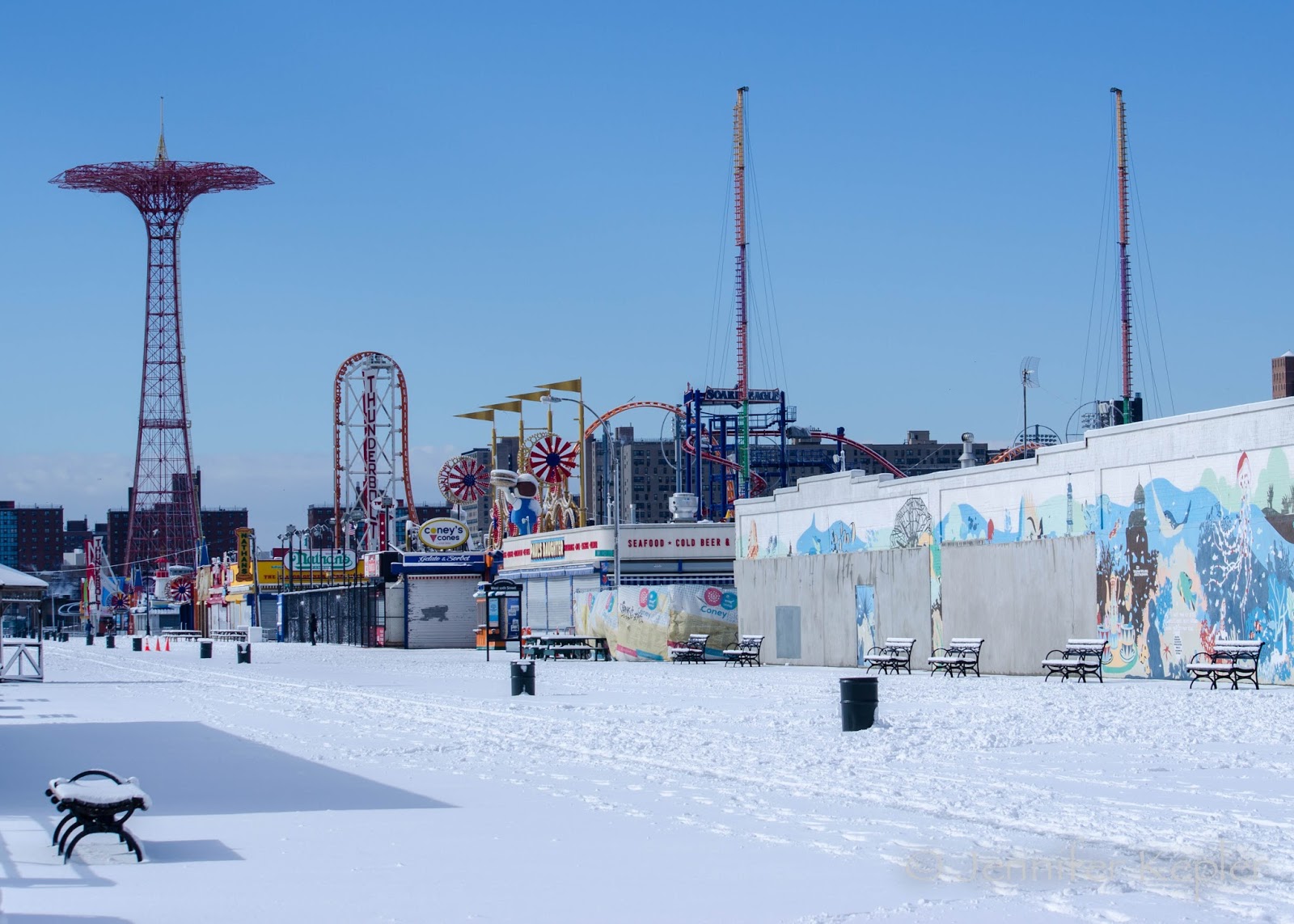 Snapshots of Nature Coney Island Winter Wonderland
