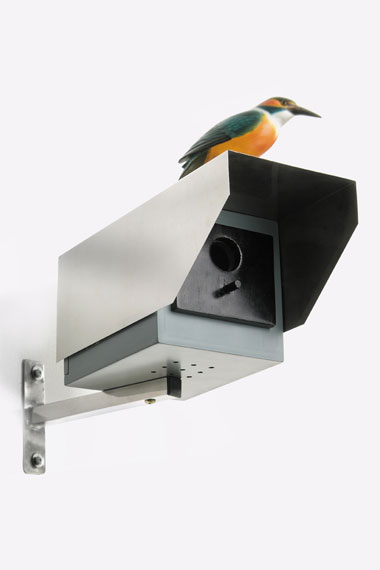 bird security camera