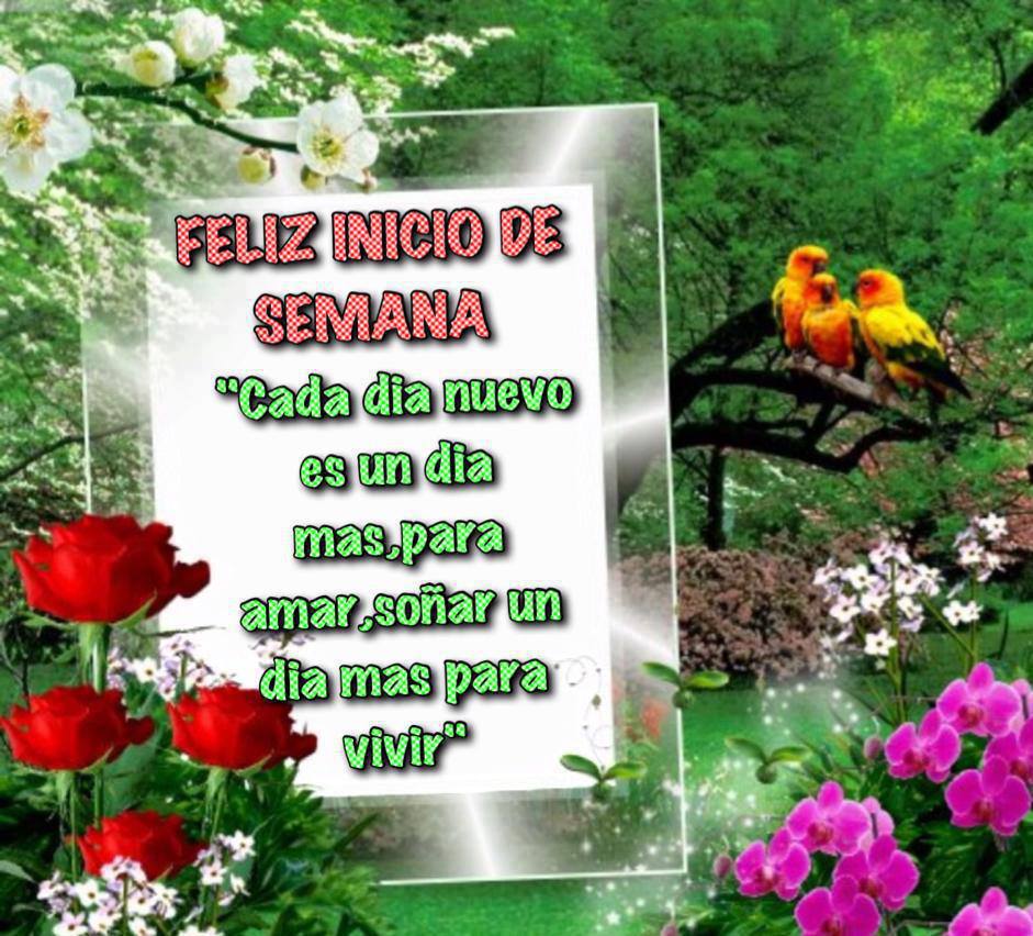 Imagenes lindas para desear un feliz inicio de semana Feliz inicio d semana cada da nuevo es un da mas para amar so±ar un da mas para vivir