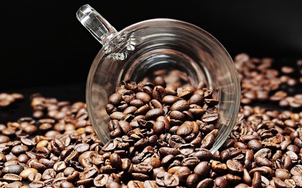 Manfaat Biji Kopi Untuk Kecantikan Serta Cara Memanfaatkannya Manfaat Biji Kopi Untuk Kecantikan Serta Cara Memanfaatkannya