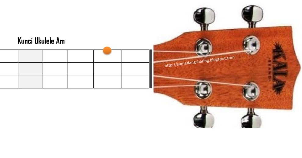 √ Kunci Ukulele Am, Bm, Cm, Dm, Em, Fm, Gm Senar 4 Lengkap Dan Mudah Share Info