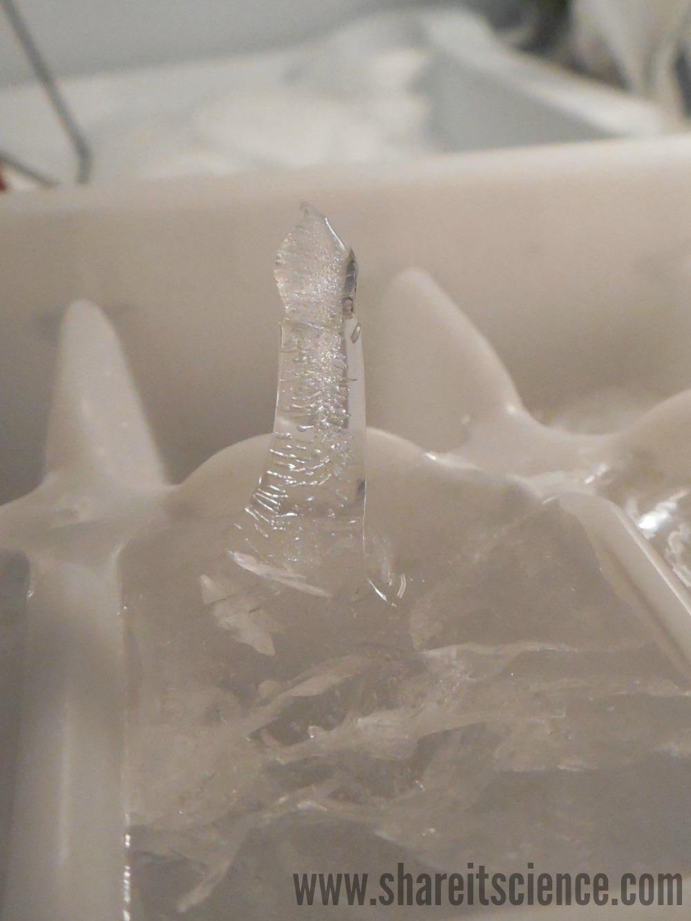 Share it! Science Ice Science Grow Your Own Ice Spikes!