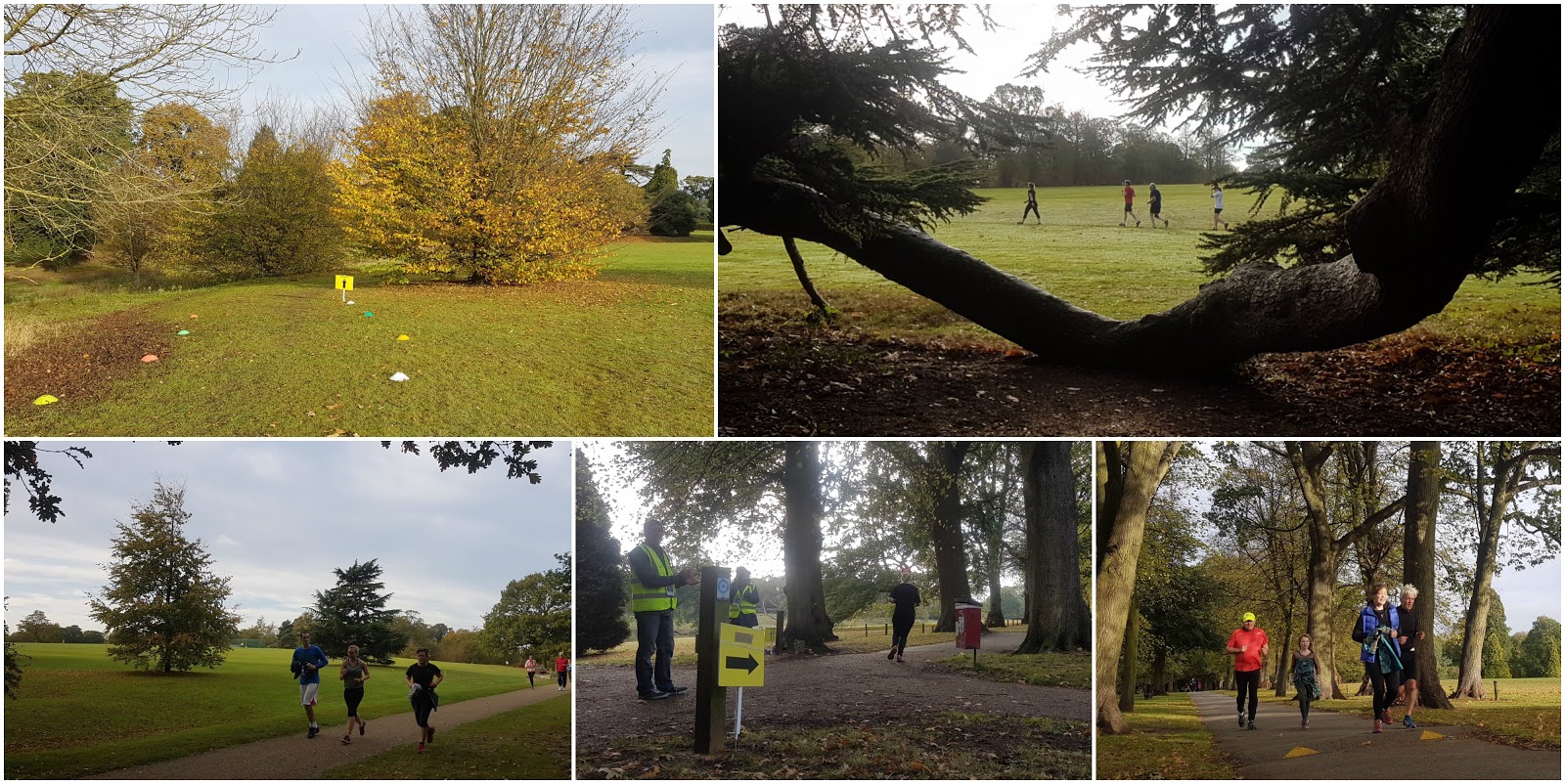 blog7t Ipswich parkrun (Chantry Park)